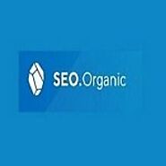 SEO Agency Germany | SEO Organic | Expat Health Seoul