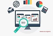 Best Organic SEO Services Available in Hamburg