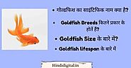 Website at https://hindidigital.in/goldfish-ka-scientific-naam-kya-hai/