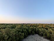 Mangrove National Park