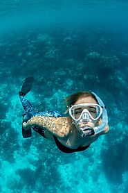 Snorkel & Dive around Koh Phangan