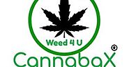 cannabax dispensary - chicago | about.me