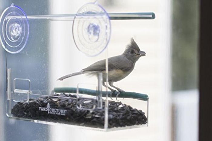 Best Selection Of Window Mounted Bird Feeder Styles Reviews A