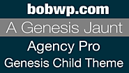 A Genesis Jaunt – A Look at the Agency Pro Child Theme