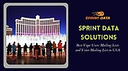 Sprint Data Solutions - Best Vape Users Mailing Lists and Voter Mailing List in USA