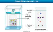 Paper Chromatography. The paper chromatography experiment was… | by Chemistry Topics | Nov, 2021 | Medium