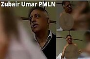Watch PMLN Leader Zubair Umar Leaked Video: