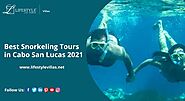 Best Snorkeling Tours in Cabo San Lucas 2021