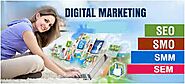 Digital Marketing Company