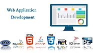 Web application development company