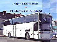 TT Airport Shuttles Services in Auckland