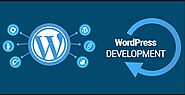 Best Wordpress Development Company