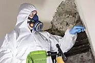 Website at https://deftdemo.com.au/the-importance-of-hiring-professional-cleaners-for-asbestos-removal/