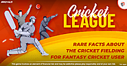 Rare Facts about the Cricket fielding for Fantasy Cricket Users