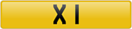 Number Plate: X 1