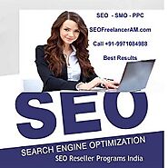 SEO Freelancer Delhi India