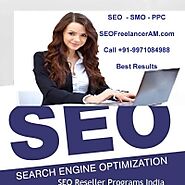 SEO Freelancer India for desired results