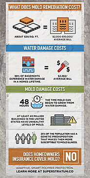 Does Insurance Cover Mold Damages?
