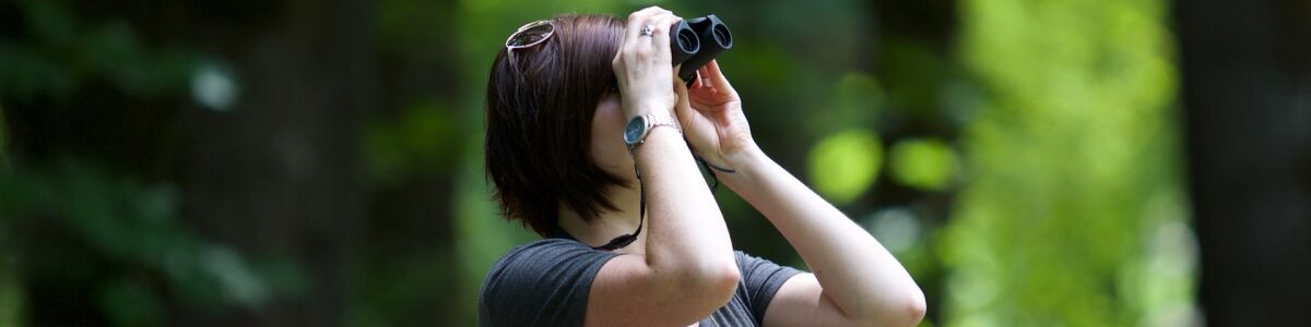 Headline for Bird Watching in Udawatte Kele – Time to Get Out Your Binoculars!