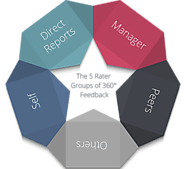 360 Feedback Survey- 360 Assessment Tools - Ambivista