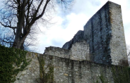 Castle Ruins in Stuttgart - Monkeys and Mountains | Travel Blog