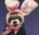 The World's Top 10 Obviously Fake Easter Bunnies
