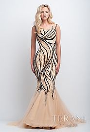 Buy The Best Prom And Pageant Dresses At Teranicouture