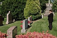 Why Trees Are the Perfect Addition to Any Cemetery: Enhancing Tranquility and Privacy - Caledon Treeland