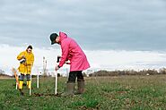 Planting Trees During Fall - Caledon Treeland