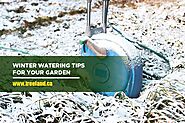 Winter Watering Tips for Your Garden - Caledon Treeland