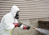 Recommendation To Decide On The Best Pest Control Solutions