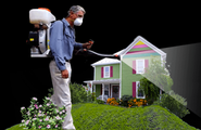 Mosquito Control: Maintain Your Grass And also Residence Safer
