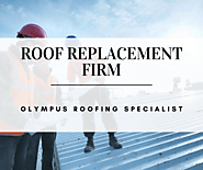 Experienced Roof Replacement Service Provider