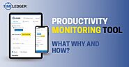 Productivity Monitoring Tool: What, Why, and How?