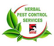 Herbal Pest Control Services in Mumbai - Sadguru Pest Control