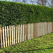3 Common Fencing Terms Every Homeowner Should Know
