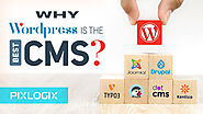 Why WordPress is the best CMS?