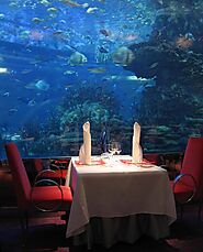 Dine in an Underwater Restaurant