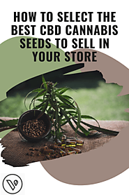 How to Select the Best CBD Cannabis Seeds to Sell in your Store