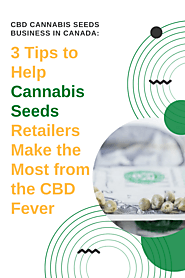 CBD Cannabis Seeds Business in Canada: 3 Tips to Help Cannabis Seeds Retailers Make the Most from the CBD Fever