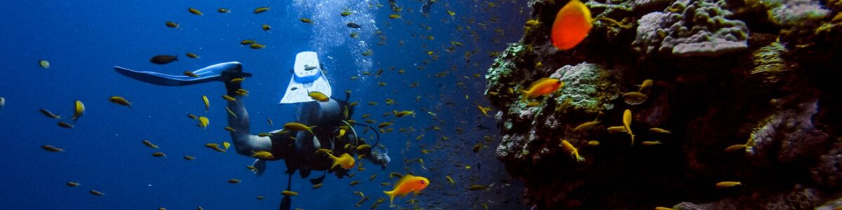 Listly nine tips for a great scuba diving trip to the maldives an adventurous tropical holiday headline