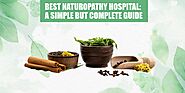 Best Naturopathy Hospital: A Simple But Complete Guide
