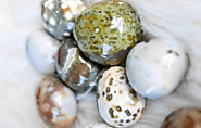 4 Ways the Ocean Jasper Crystal May Aid You | The House of Oshun
