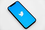 Learn About Twitter Widget For Website