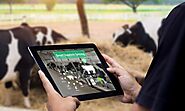 How to Use Sensor Technology For Animal Health Monitoring