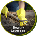 Lawn Fertilizer Service | Fertilization | Weed Control Companies