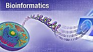 Bioinformatics Market - Global Industry Size, Share, Trends, Opportunity and Forecast 2026 | TechSci Research