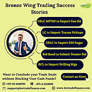 Infographics: Bronze Wing Trading Success Stories
