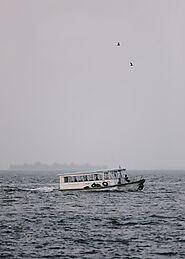 Local Ferries