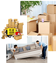 What should you know about removalists?